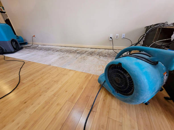 Professional Water Damage Repair technician working in Butler, NJ
